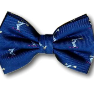 Arm and arrow bow tie