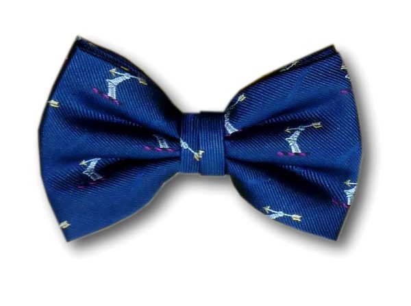 Arm and arrow bow tie