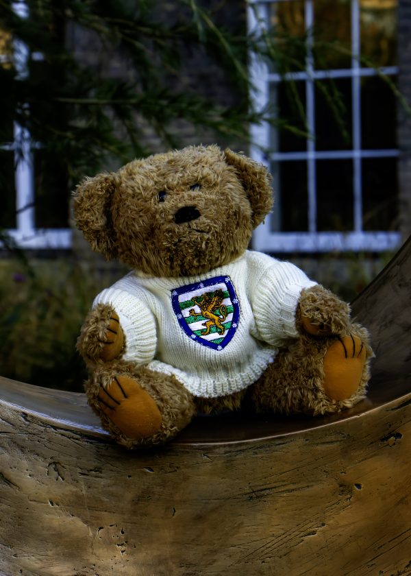 Teddy Bear - Image 2